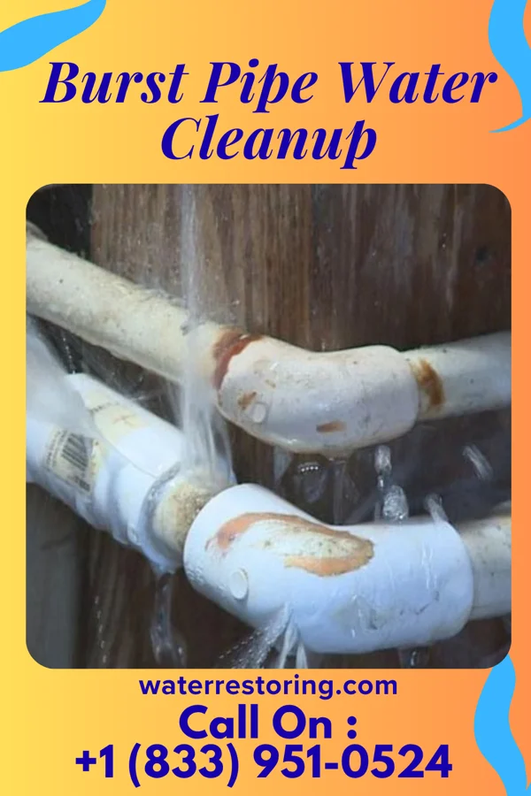 Burst Pipe Water Cleanup in Napavine, WA