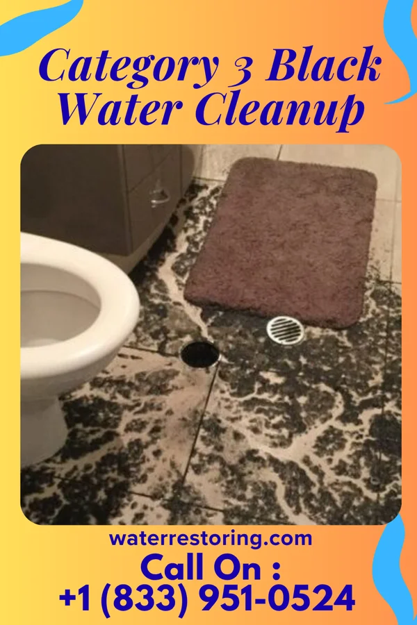 Category 3 Black Water Cleanup in Napavine, WA
