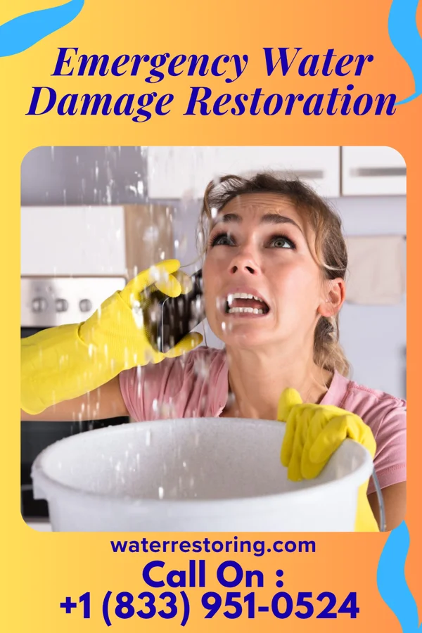 Emergency Water Damage Restoration in Napavine, WA