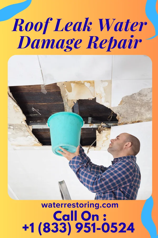 Roof Leak Water Damage Repair in Napavine, WA