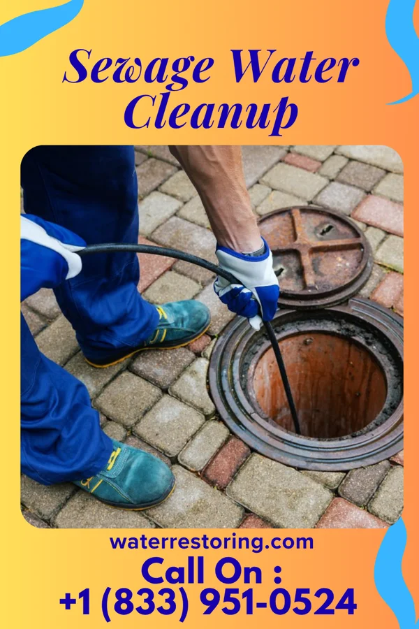Sewage Water Cleanup in Napavine, WA